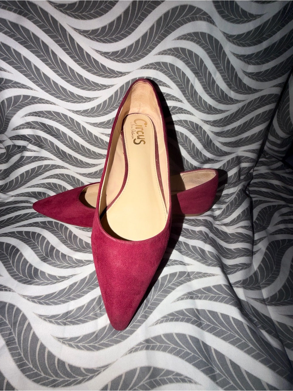 Circus by Sam Edelman Burgundy Pointed Toe Flats